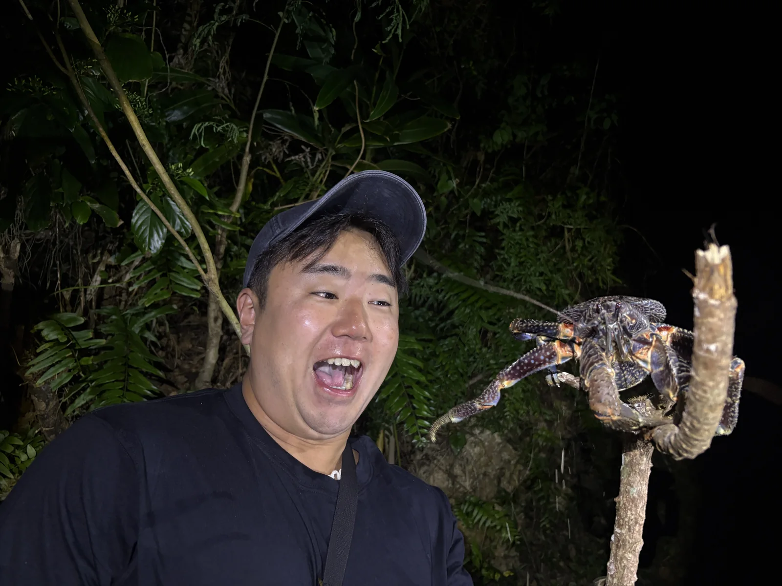 ガイドとヤシガニを観察する宮古島ナイトツアー